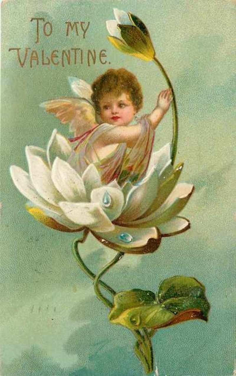 Février, mois de l'amour Février, mois de l'amour
