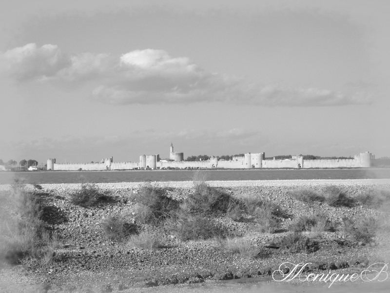 DSCF0486b.jpg