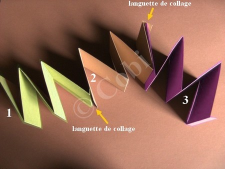 photo-5.jpg